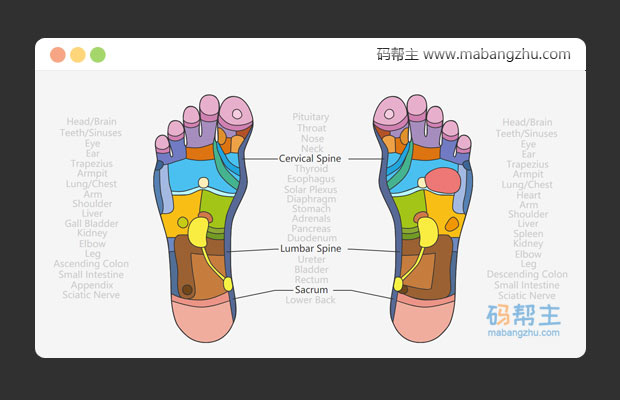 基于SVG制作的交互式人类脚底按摩穴位图