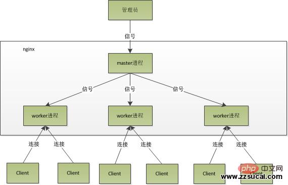 nginx 进程模型 图片来自网络