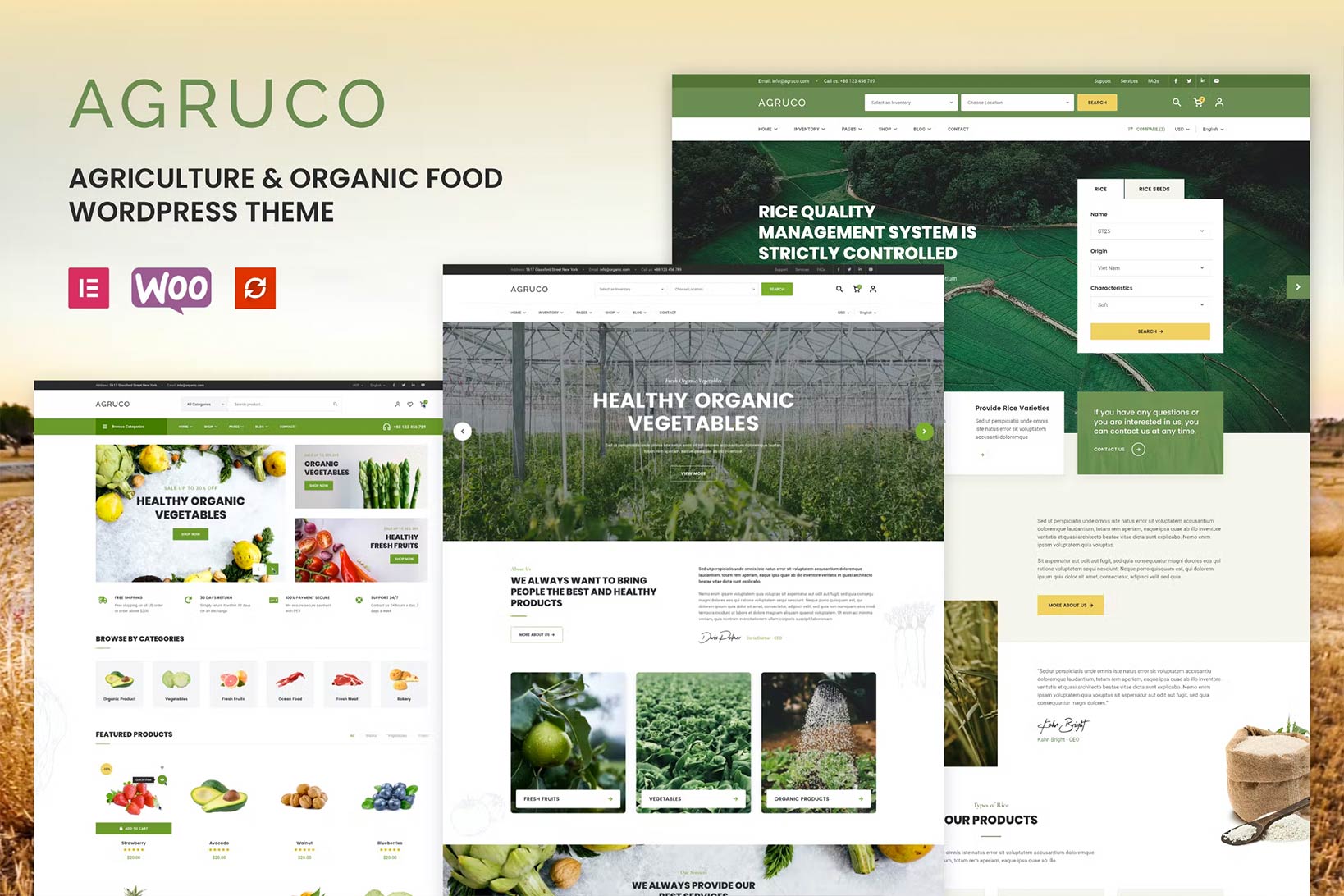 农业和有机食品网站源码_农业公司网站php源码_WordPress主题