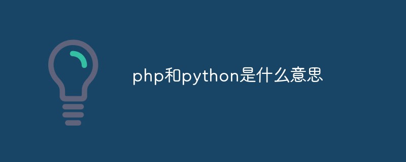 php解答_php和python是什么意思