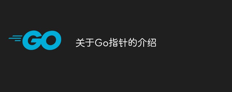 golang：关于Go指针的介绍