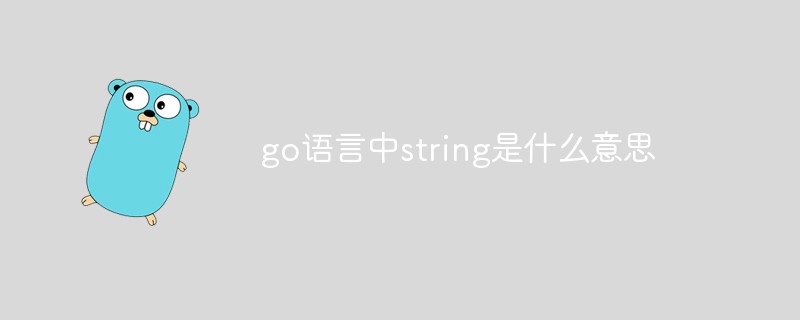 golang：go语言中string是什么意思