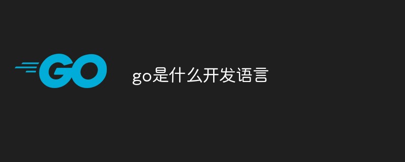 golang：go是什么开发语言