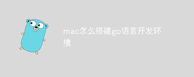 golang：mac怎么搭建go语言开发环境
