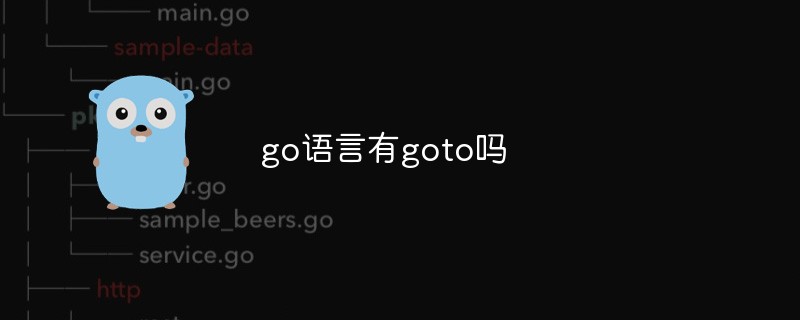 golang：go语言有goto吗
