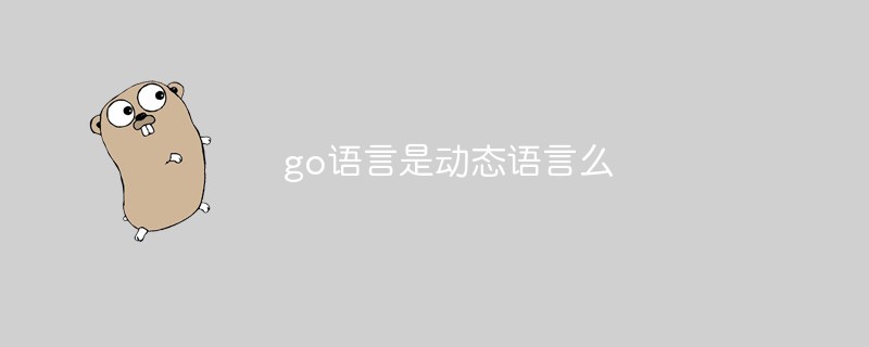 golang：go语言是<span style='color:red;'>动态</span>语言么