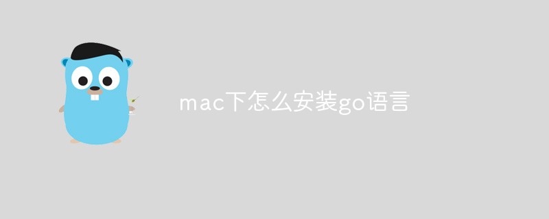 golang：mac下怎么安装go语言