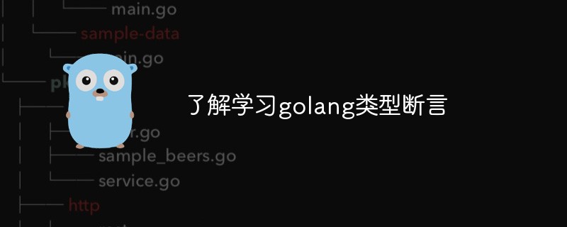 golang：了解学习golang类型断言
