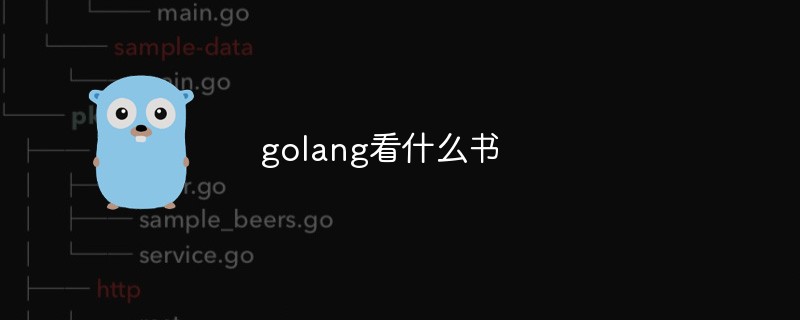 golang：golang看什么书