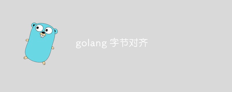 golang：字节对齐在golang中的使用详解