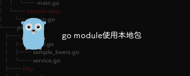golang：go module是怎么使用本地包的（附示例）
