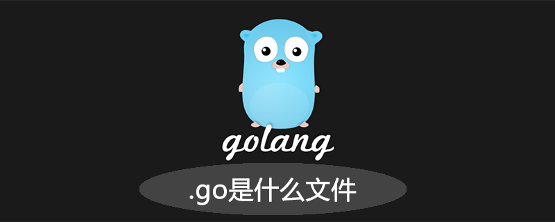 golang：.go是什么文件