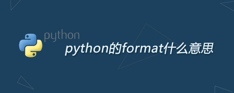 php解答：python的format什么意思