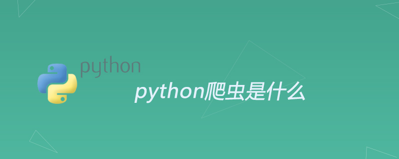 python教程：<span style='color:red;'>Python爬虫</span>通俗点讲是什么