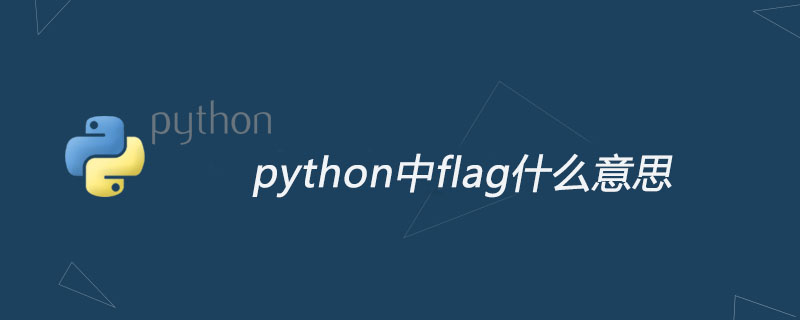 python教程：python中flag什么意思