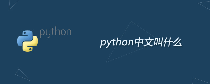 python教程：python中文叫什么