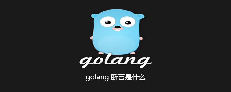 golang：golang 断言是什么
