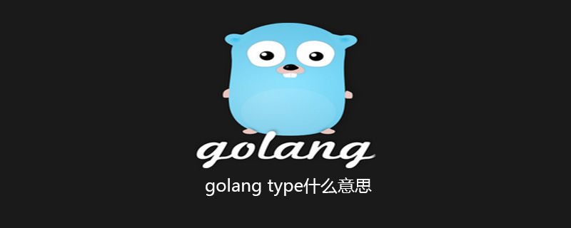 golang：golang type什么意思