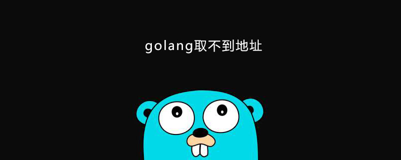 golang：关于golang中无法获取地址问题的解析