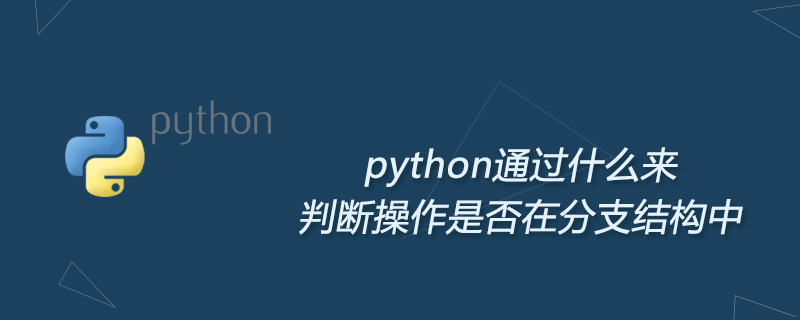 python教程：python通过什么来判断操作是否在分支结构中