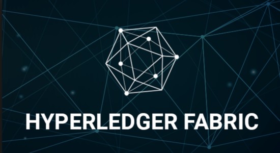 golang：<span style='color:red;'>区块链</span>实战-Hyperledger Fabric（一） 10分钟新手入门