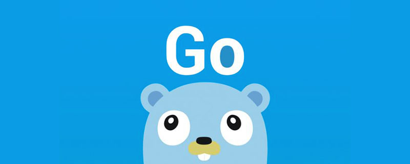 golang：解析Go的http client