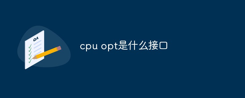 回答cpu opt是什么接口