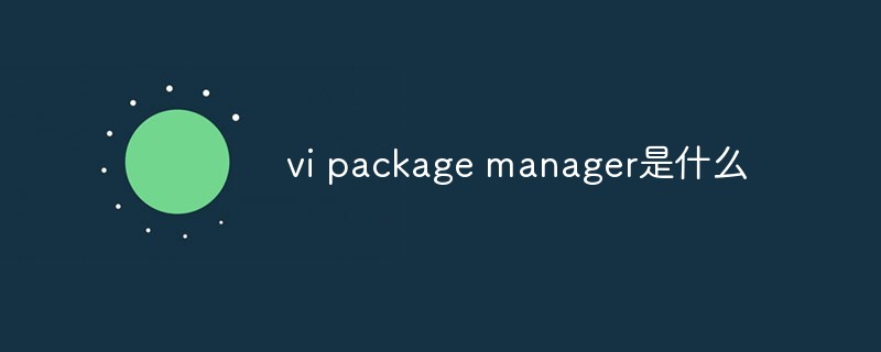 回答vi package manager是什么