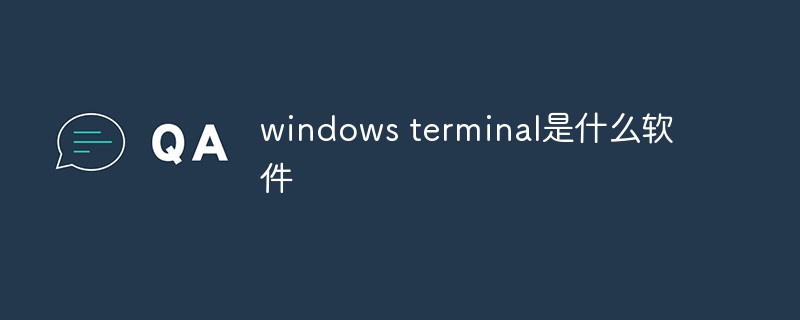 回答<span style='color:red;'>windows</span> terminal是什么软件