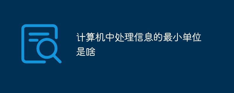 回答计算机中处理信息的最小单位是啥