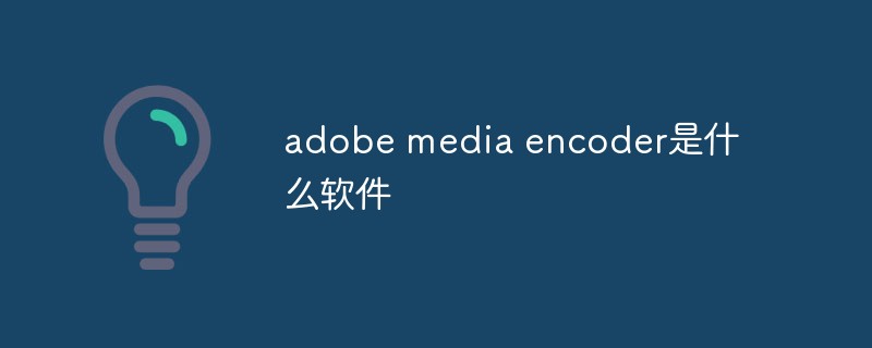 回答adobe media encoder是什么样的软件