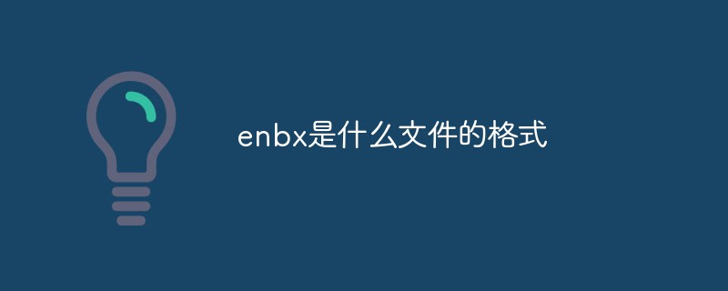 回答enbx是什么文件的格式