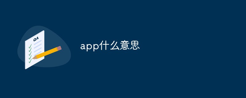 回答<span style='color:red;'>APP</span>什么意思