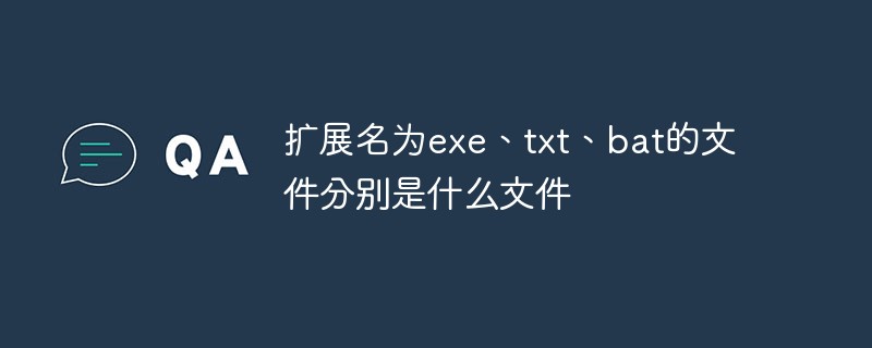 回答扩展名为exe、txt、bat的文件分别是什么文件