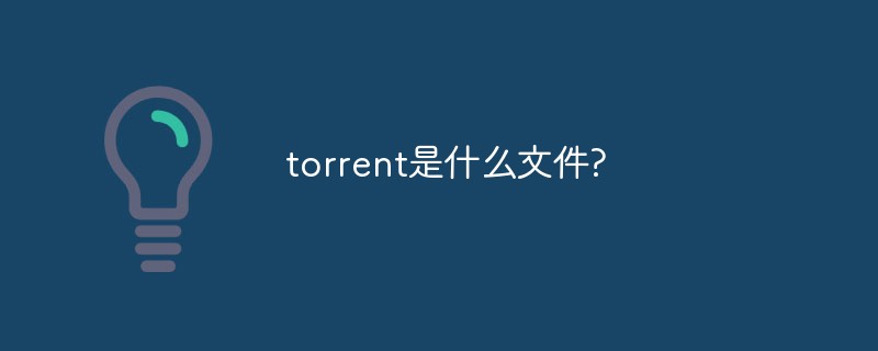 回答torrent是什么文件?