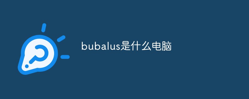 回答bubalus是什么电脑