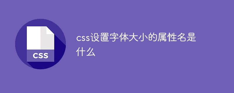 css教程css设置字体大小的属性名是什么