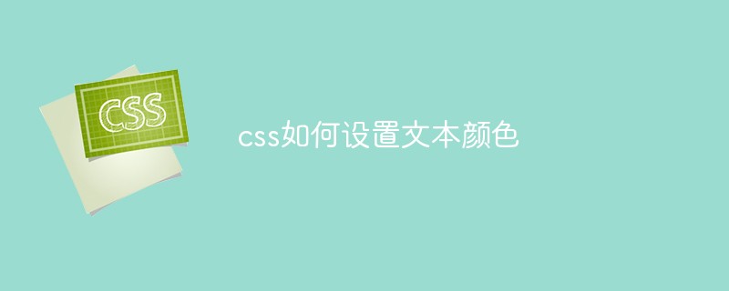 css教程css如何设置文本<span style='color:red;'>颜色</span>