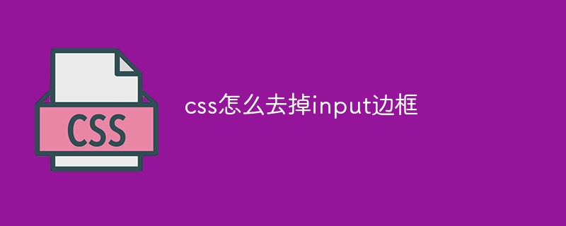 css教程css怎么去掉input边框