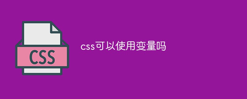css教程css可以使用变量吗
