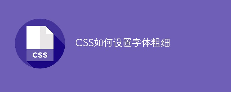css教程CSS如何设置字体粗细