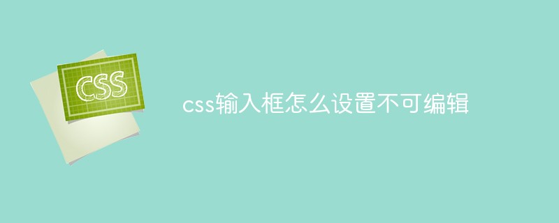 css教程css输入框怎么设置不可编辑