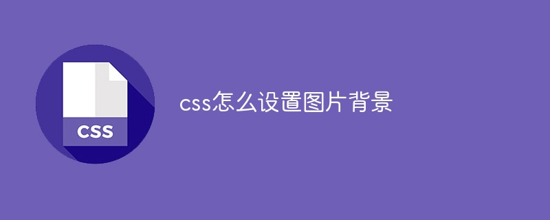 css教程css怎么设置图片<span style='color:red;'>背景</span>