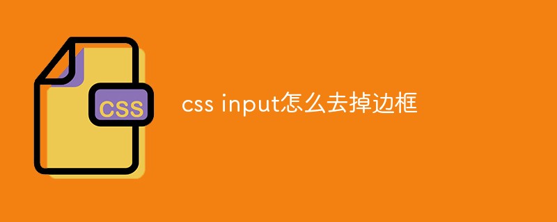 css教程css <span style='color:red;'>input</span>怎么去掉边框