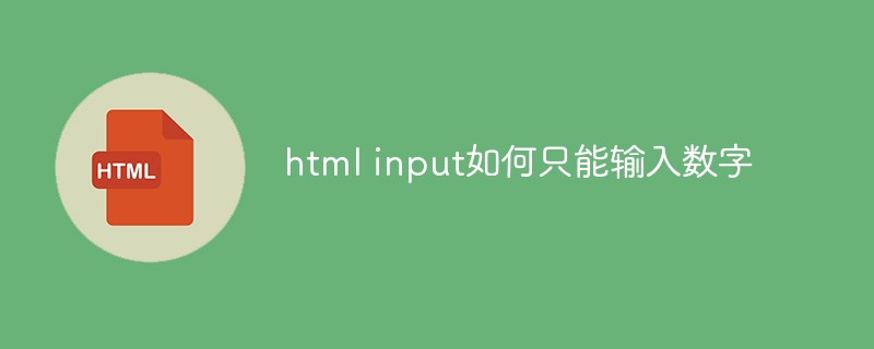 html代码html input如何只能输入数字