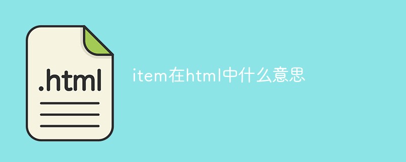 html代码item在html中什么意思