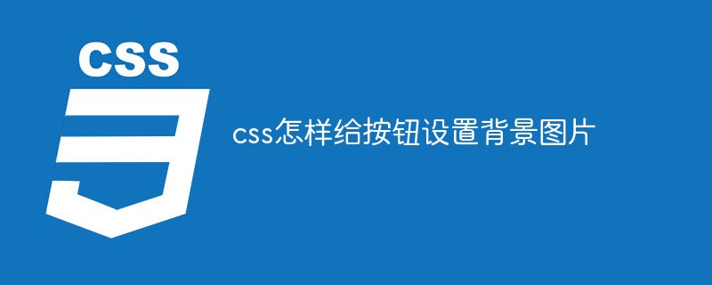 css教程css怎样给按钮设置背景图片