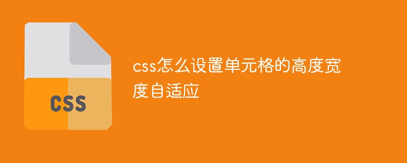 css教程css怎么设置单元格的高度宽度自适应