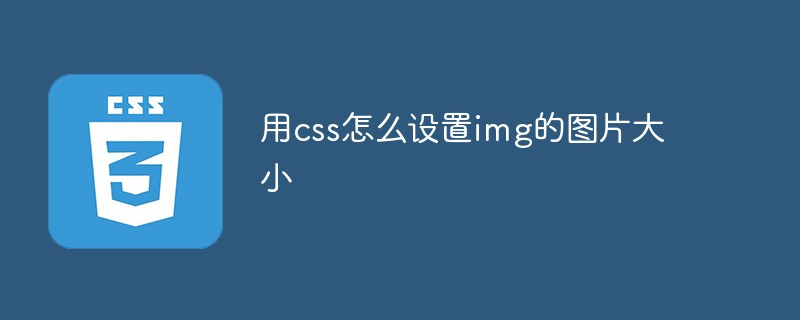 css教程用css怎么设置img的图片大小