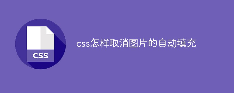 css教程css怎样取消图片的自动填充